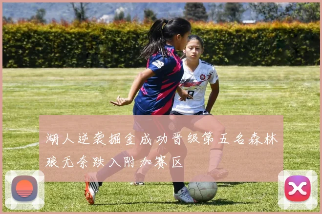 湖人逆袭掘金成功晋级第五名森林狼无奈跌入附加赛区
