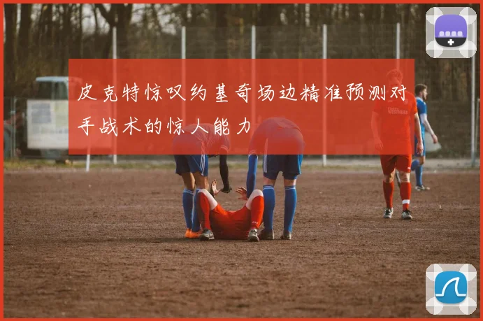 皮克特惊叹约基奇场边精准预测对手战术的惊人能力